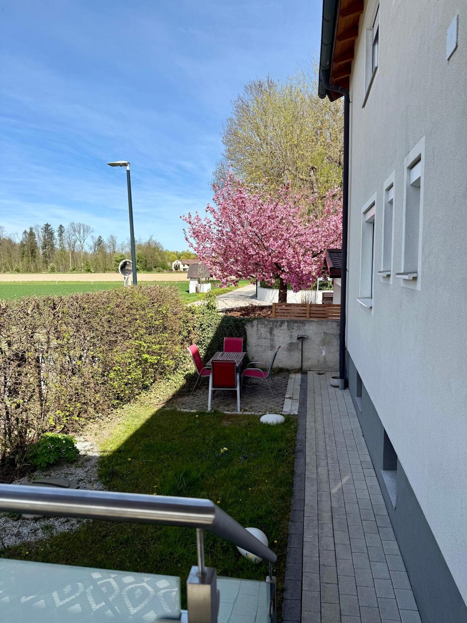 Wohnung Im Gruenen Am Stadtrand, 50 M2, Eigener Garten Mit Terrasse, Eigener Eingang, Kostenloses Parken Salisburgo Esterno foto